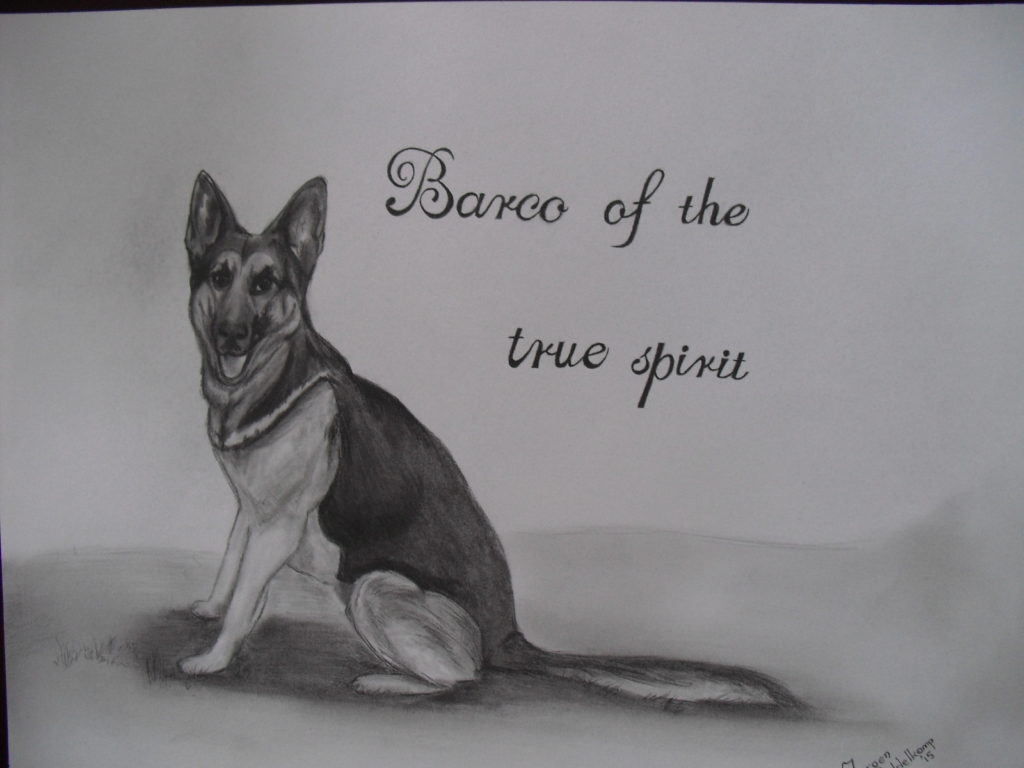 Barco of the true spirit herdershond pentekening portrettekening jeroen middelkamp jmillustraties