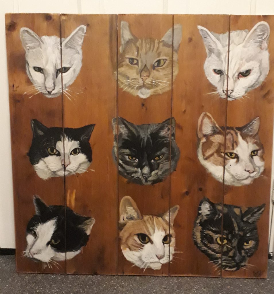Jereon Middelkamp, JMillustraties, schilderij, schilderen op hout, katten op hout, acryl, buitenschilderij, katten op hout, houten schilderij, katten, poezenkoppen, kattenkoppen