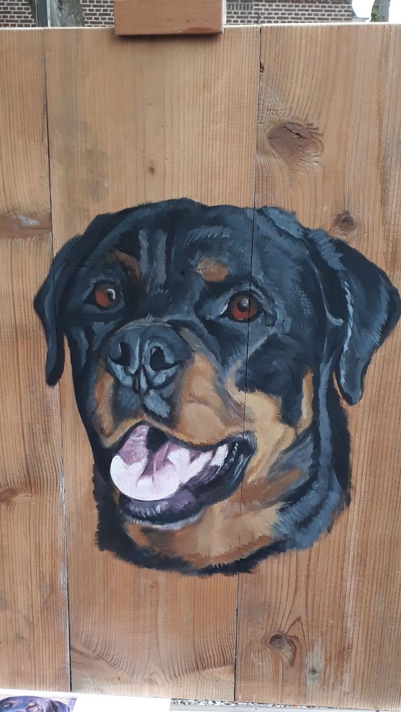 Schilderij op hout, hond schilderij, hond op hout, rotweiler, jmillustraties, jeroen middelkamp, schilderij voor buiten, buitenschilderij, eigen hond, acrylverf